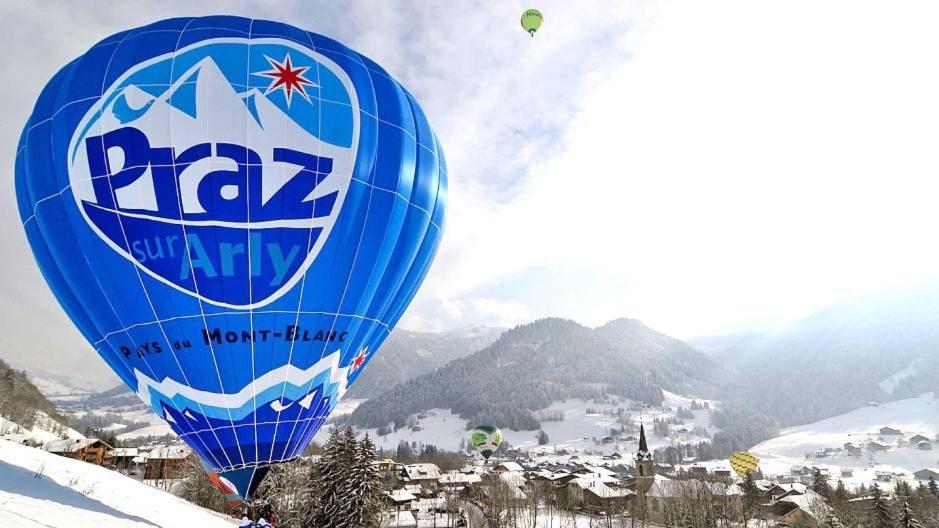 Fleur Des Montagnes Daire Praz-sur-Arly Dış mekan fotoğraf