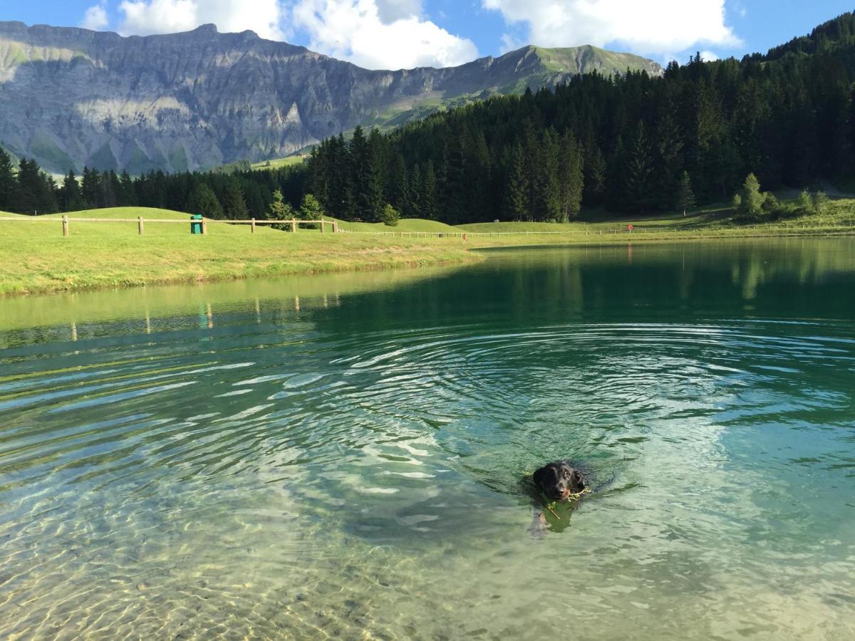 Fleur Des Montagnes Daire Praz-sur-Arly Dış mekan fotoğraf