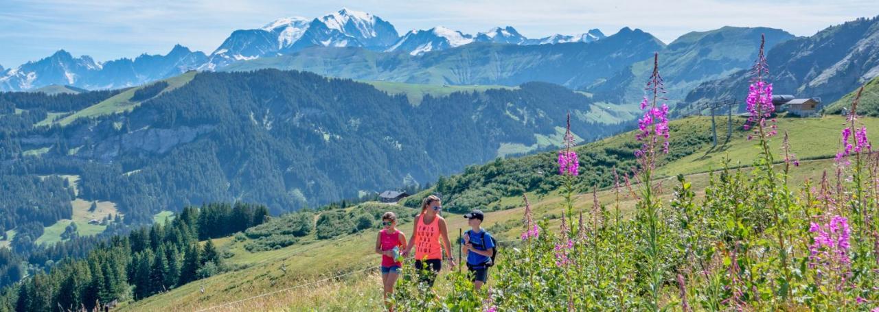 Fleur Des Montagnes Daire Praz-sur-Arly Dış mekan fotoğraf
