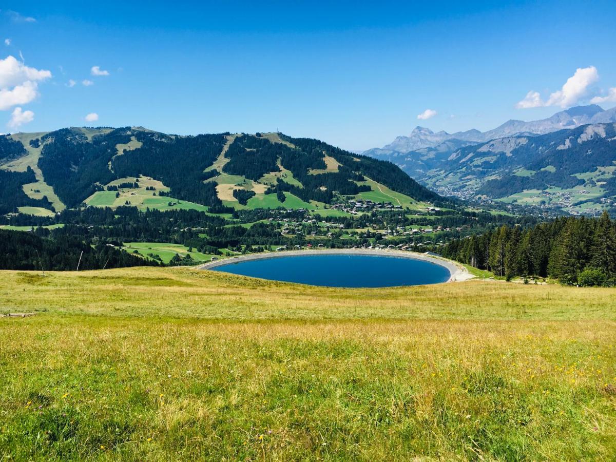 Fleur Des Montagnes Daire Praz-sur-Arly Dış mekan fotoğraf