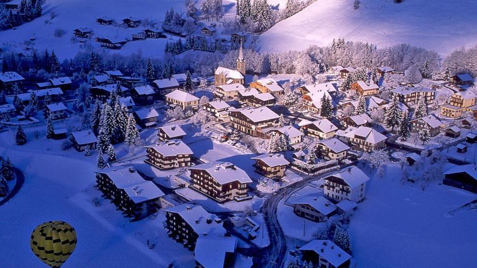 Fleur Des Montagnes Daire Praz-sur-Arly Dış mekan fotoğraf