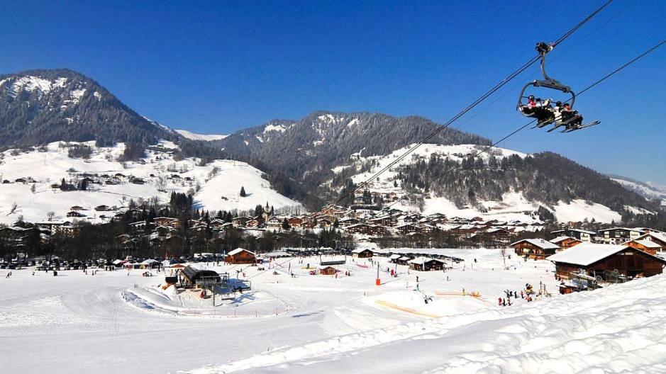 Fleur Des Montagnes Daire Praz-sur-Arly Dış mekan fotoğraf